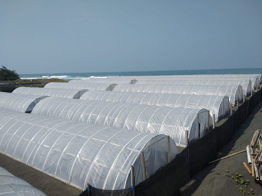 Fasilitas Rumah Tunnel Garam Kristal Pesisir Pantai