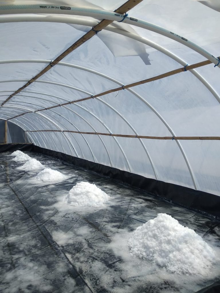 Produksi Garam Kristal Putih Bersih Kualitas Prima